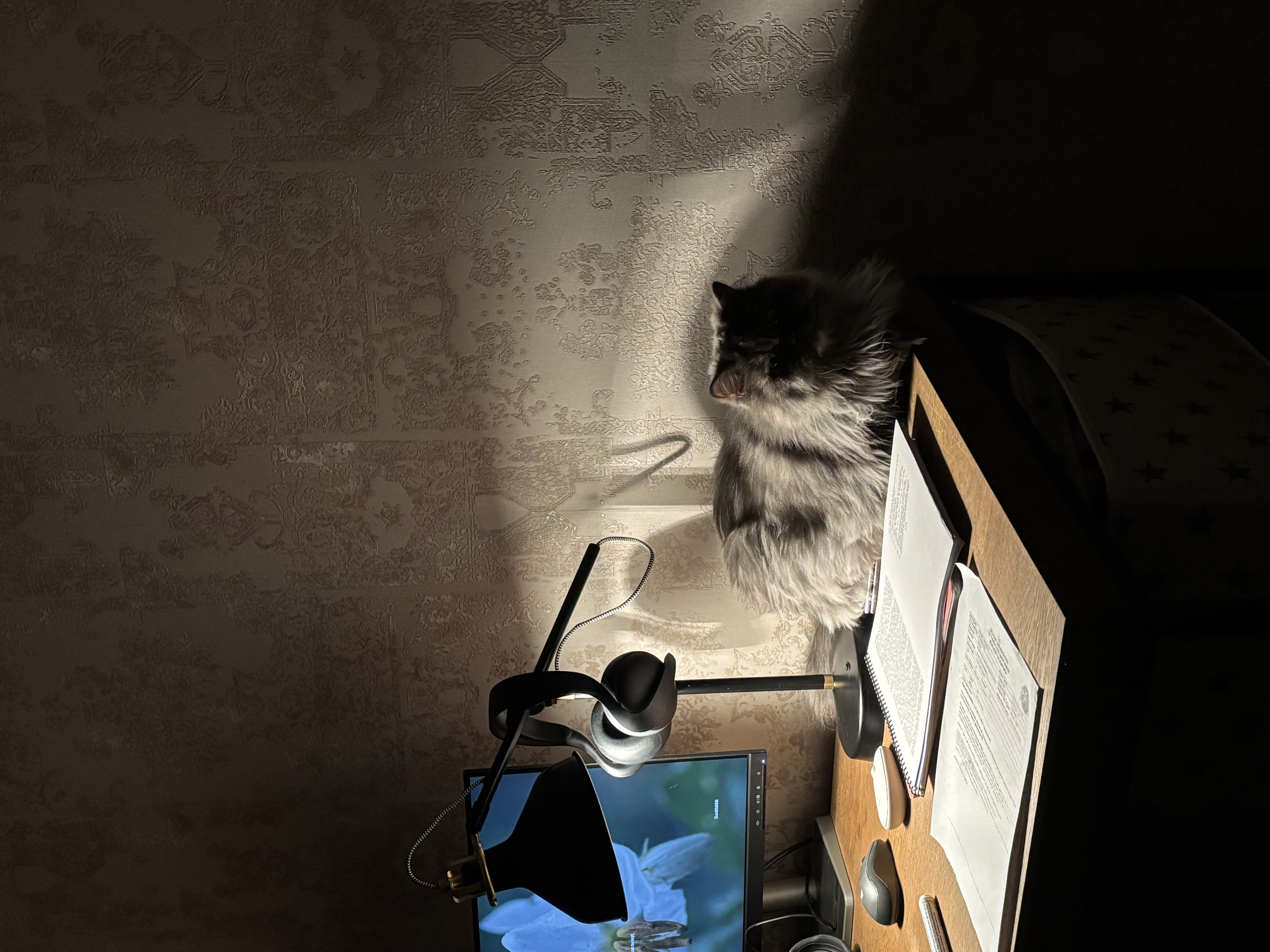 Photo of Gece
